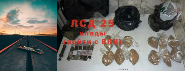 ПСИЛОЦИБИНОВЫЕ ГРИБЫ Карпинск