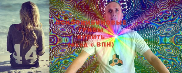 ПСИЛОЦИБИНОВЫЕ ГРИБЫ Карпинск