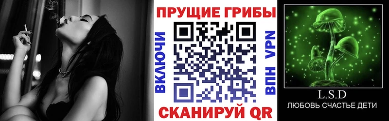 Купить где  Горнозаводск  Псилоцибиновые грибы Psilocybe 